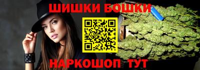 МДПВ Дубна