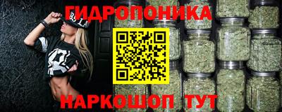 МДПВ Дубна