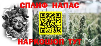 МДПВ Дубна