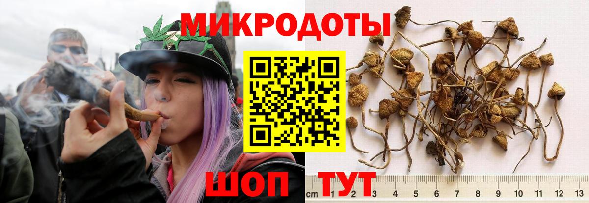 Галлюциногенные грибы MAGIC MUSHROOMS Можайск