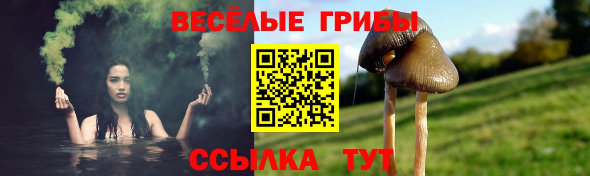 Галлюциногенные грибы Psilocybe  наркотики  Можайск  Вход с VPN 